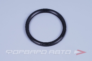 Купить Прокладка термостата (48мм) LADA Largus, Renault Logan ROSTECO 20746 Прокладка термостата (48мм) LADA Largus, Renault Logan ROSTECO 20746