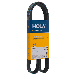 Ремень поликлиновый ВАЗ 2110-2112, 2170  6PK1125 с кондиц HOLA PH6996