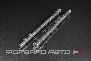 Распредвалы NISSAN SR20VE 290/290 Duration, подъем 10.60 мм VVL Removed KELFORD 184-STK