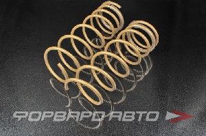 Пружины передние для автомобиля ВАЗ 2108-10 Gold Progressive (переменный шаг) SS20 SS30124