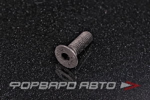 Винт потайн. гол. внутр. шестигр. М8*25 DIN 7991 кл.пр.10,9 <> 