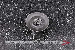 Клипса ASAM 30885