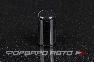 Колпачок силиконовый 10 мм, чёрный AUTOBAHN88 