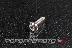 Купить Винт M5*0,8*16 титановый полукруглая головка, внутренний шестигранник FORA TITANIUM ISO7380-5*16Ti Винт M5*0,8*16 титановый полукруглая головка, внутренний шестигранник FORA TITANIUM ISO7380-5*16Ti