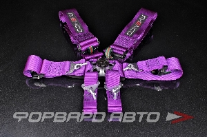 Ремни 6-ти точечные, 3" FIA 8853-2016 (до 2028 года) фиолетовый RAEMCO C-06P-AL