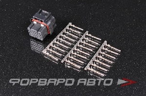 Купить Разъем 26 way 22-20 AWG (SS10-SKT1) Superseal 1.0 Series PDM15/PDM30/M150 (Keying 1) TE CONNECTIVITY TF26AS Разъем 26 way 22-20 AWG (SS10-SKT1) Superseal 1.0 Series PDM15/PDM30/M150 (Keying 1) TE CONNECTIVITY TF26AS