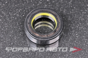 Сальник высокого давления 21*34*9 7V1 TCS F-00547