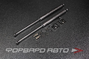 Амортизаторы капота Subaru Impreza GDA/GDB, Black Carbon AUTOBAHN88 