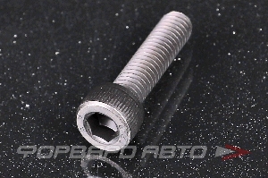 Винт цилиндр. с внутренним шестигранником М6*25 DIN912 высокопр. пр.12,9  