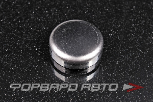 Заглушка блока двигателя D20 NISSAN 01648-00171