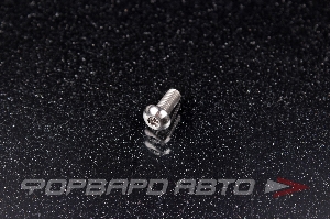 Винт M4*0,7*10 титановый полукруглая головка, внутренний шестигранник FORA TITANIUM ISO7380-4*10Ti