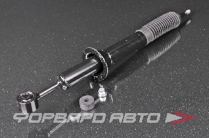 Амортизатор передний MILES DG02722