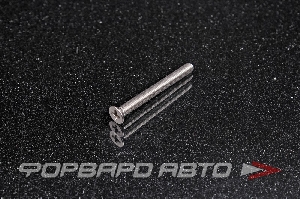 Винт потай крест-шлиц нерж. М4*0,7*40 DIN965 A2 <> 