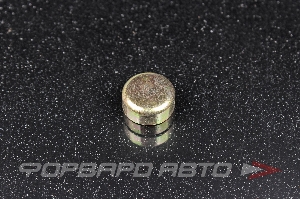 Купить Заглушка блока двигателя WPM-14mm GRI  Заглушка блока двигателя WPM-14mm GRI