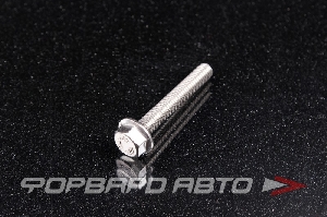 Болт М6*1,0*40 ДИН 6921 А2 нерж. шестигр. гол. с фланцем <> 