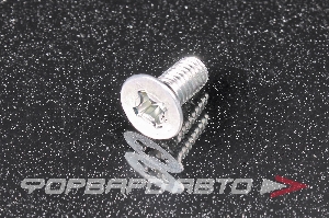 Болт М6*1,0*10 тормозного диска конусный потайной HONDA 93600-060-140H