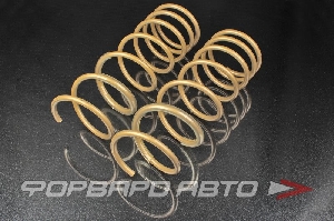 Пружины передние для автомобиля ВАЗ 2110-12 Gold Progressive (переменный шаг) SS20 SS30125