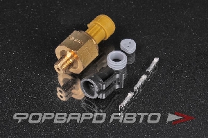 Сенсор давления MAP латунный 3.5 BAR / 50PSI (Brass PSIa Sensors) 1/8" NPT AEM 30-2131-50