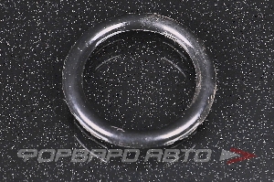 Купить Кольцо уплотнительное трубки маслоохладителя ROSTECO 20629 Кольцо уплотнительное трубки маслоохладителя ROSTECO 20629