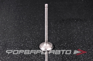 Клапан выпускной N-ROCKY FB-25-0