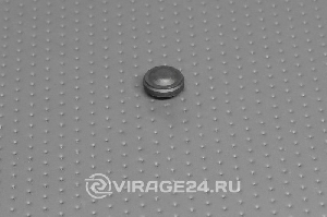 Заглушка направляющей суппорта BBP 16005