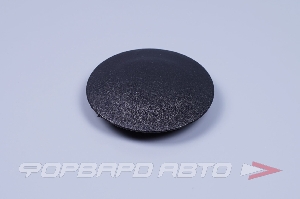 Заглушка ручки стеклоподъемника ВАЗ (большая) ПЛАСТИК 2108-6102034-01