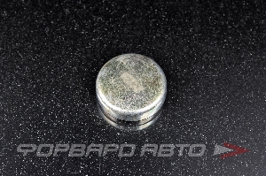 Заглушка блока двигателя WPB-34мм  