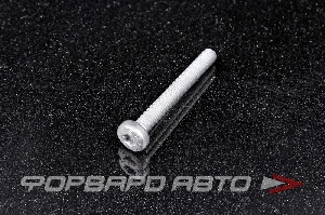 Болт М6*1,0*50 VAG N10 470 703