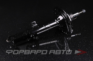 Амортизатор задний, правый MILES DG21069