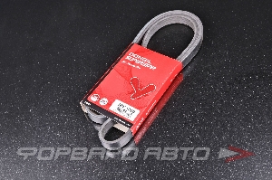 Ремень поликлиновой DONGIL 5PK1750