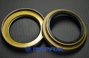 Сальник 80*113*12/22 (б/н) мет. PAYEN NJ571