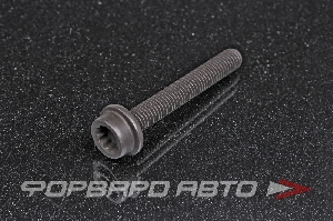 Болт М8*1,25*55 гзвездочки цепи, Torx VAG N 105 449 04