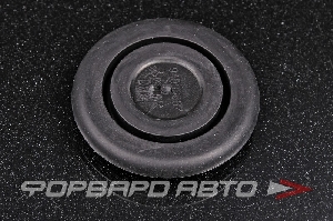 Заглушка кузова D-42 GENERAL MOTORS 94535987