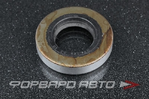 Сальник 28*53*10 (б/н) мет. MUSASHI T1049