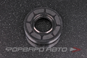 Сальник 25*52*10 (TC) NQK 25*52*10 TC