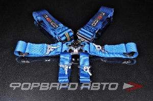 Ремни 6-ти точечные, 3" FIA 8853-2016 (до 2030 года) синий RAEMCO C-06B-AL