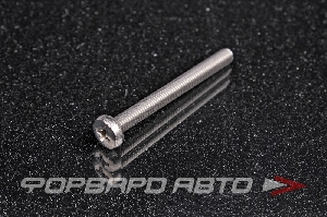 Винт полукруг крест-шлиц нерж. М5*50 DIN7985 A2  