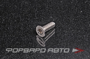 Винт потай  ТХ шлиц нерж. М8*1,25*25 DIN965 A2 ТХ45 <> 