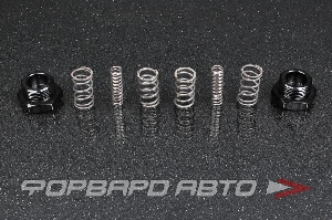 Пружинки КПП 5МТ Nissan Silvia SR20 Skyline RB20 RB25 GK TECH 