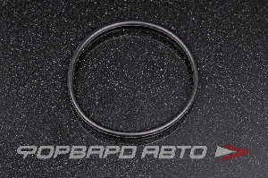 Кольцо уплотнительное маслостойкое 49*2,5 NOK OR-02.50_049.00