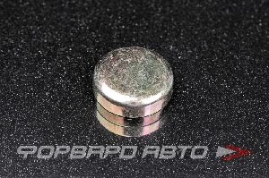 Купить Заглушка блока двигателя WPM-28мм   Заглушка блока двигателя WPM-28мм