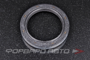 Сальник 54*72*10 (б/н) рез. TTO/CHO F673, 02289-N10