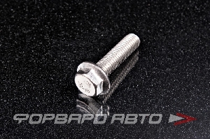 Болт М10*1,5*40 ДИН 6921 А2 нерж. шестигр. гол. с фланцем <> 