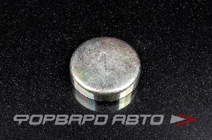 Заглушка блока двигателя WPM-40мм  