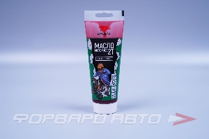 Масло моторное 200мл, 2T TC/L-EGC/FC (п/с) VMPAUTO 9208