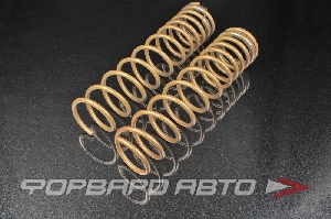 Пружины задние для автомобиля ВАЗ 2110 Gold Progressive (переменный шаг) SS20 SS30128