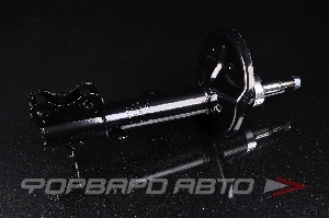 Амортизатор задний, правый MILES DG21039-01