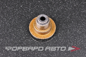 Колпачок маслосъёмный VICTOR REINZ 70-35547-00