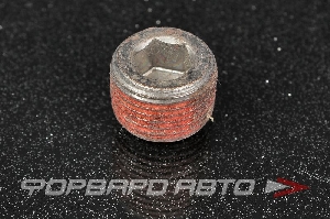 Заглушка блока метал 3/8" NISSAN 11051-D0100