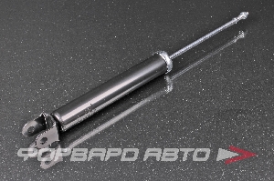 Амортизатор задний MILES DG02865-01